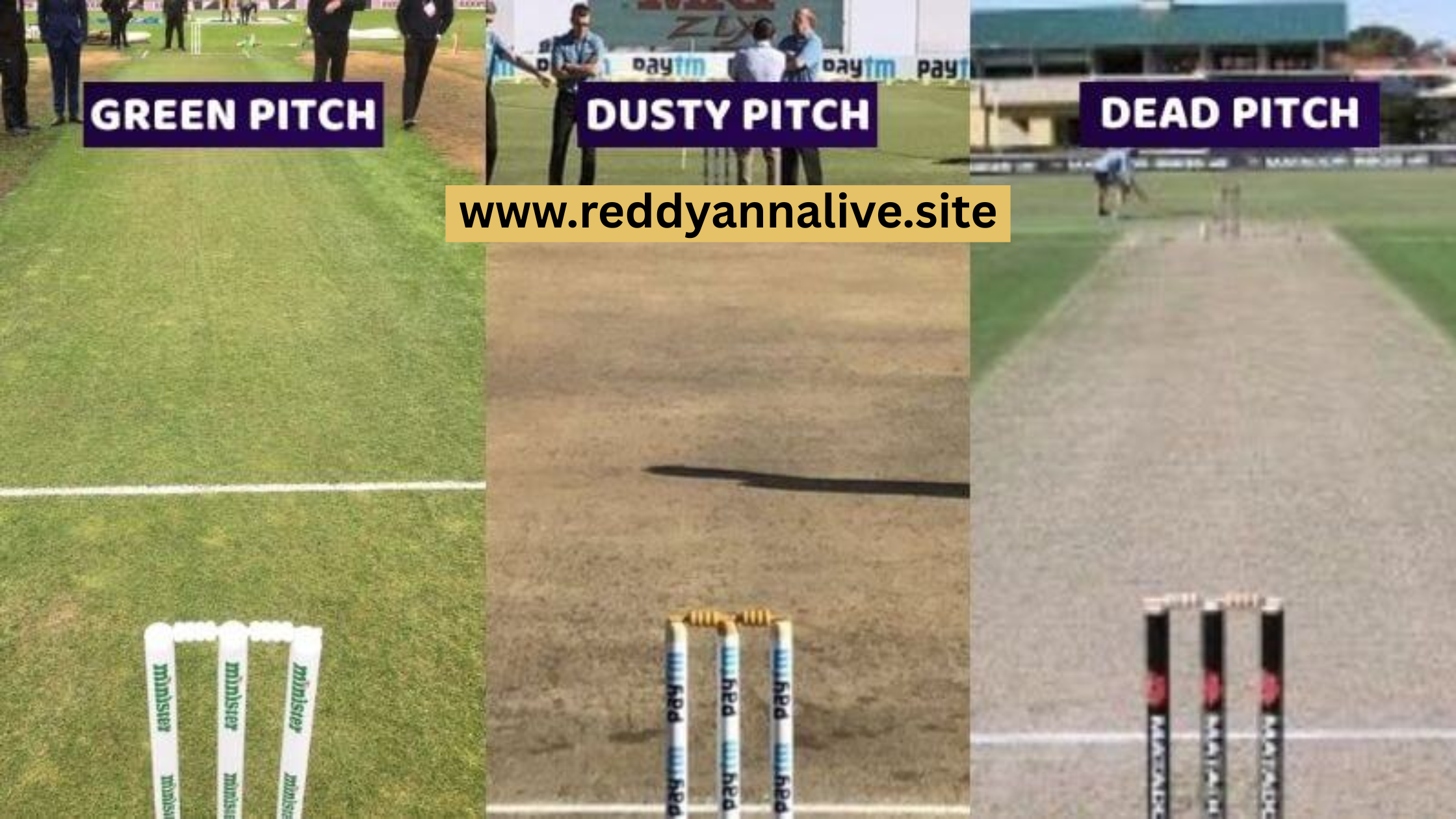 How to Use Pitch Reports for Cricket Betting Accuracy | Reddy Anna Official