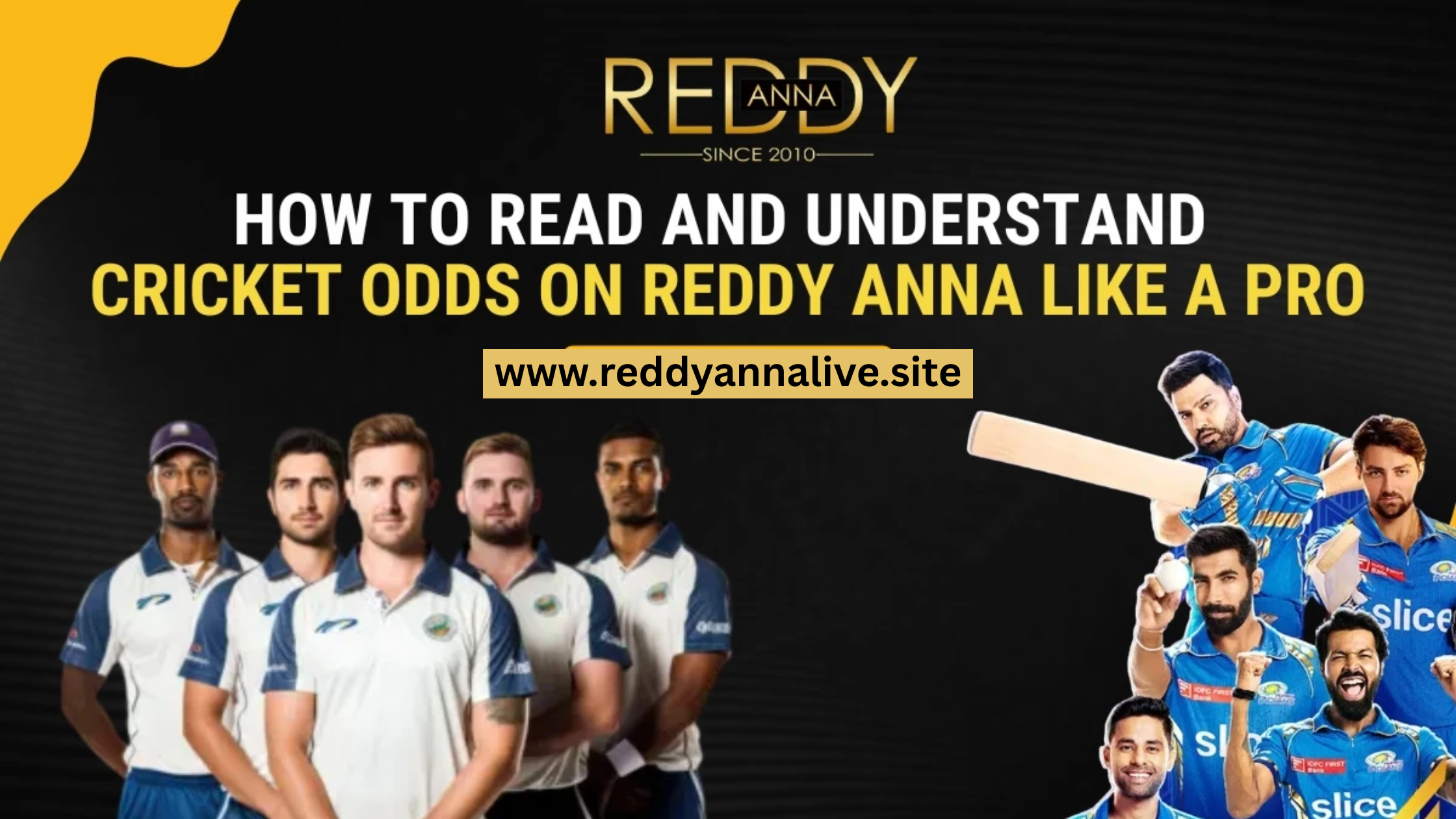 Understanding Odds & Probability in Cricket Betting (2025 Edition) | Reddy Anna Official